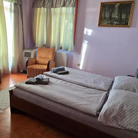 Bruckner 巴拉顿菲赖德