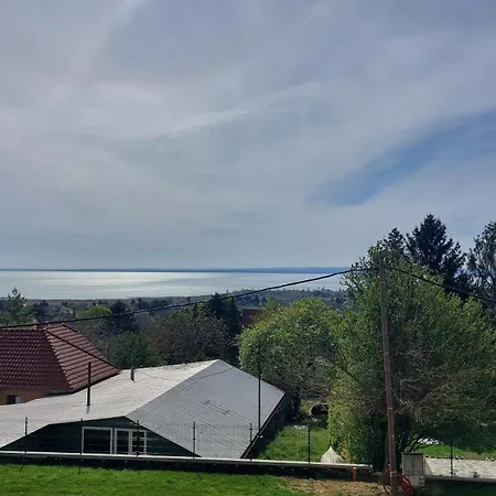 Bruckner * 巴拉顿菲赖德